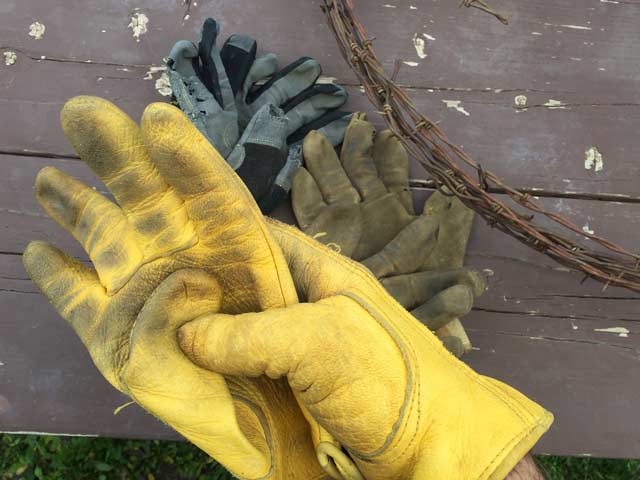 Best Ranch Workamping Gloves